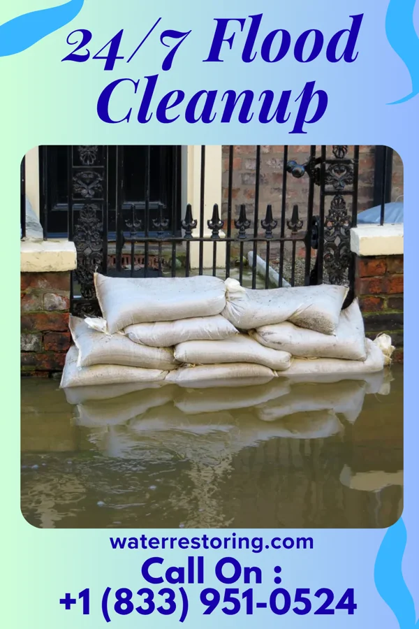 24/7 Flood Cleanup in Ripley, MS
