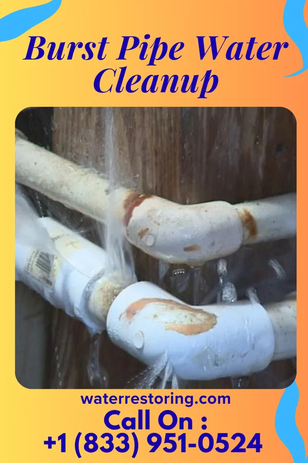 Burst Pipe Water Cleanup in Ripley, MS