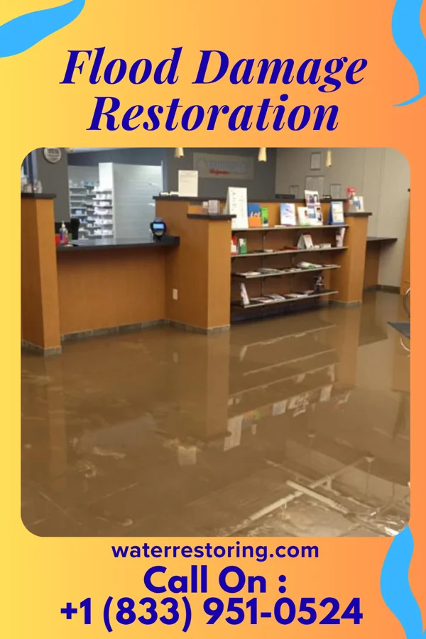 Flood Damage Restoration in Ripley, MS
