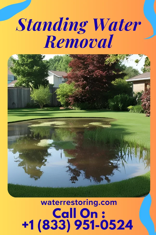 Standing Water Removal in Ripley, MS
